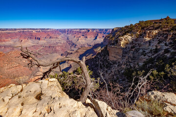 Grand Canyon 4 - 588143980