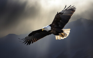 Obraz premium Bald eagle soaring in the sky with wings spread wide. The background is mountain. Generative AI
