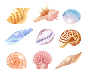 Set of illustrations of sea shells of different kinds in delicate shades