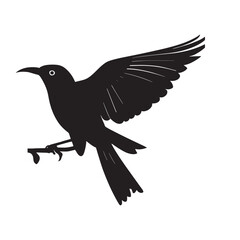 silhouette bird simple branch nature look,pj