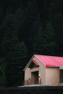 vertical image of hotel with green pine trees on mountain in background naran kaghan valley