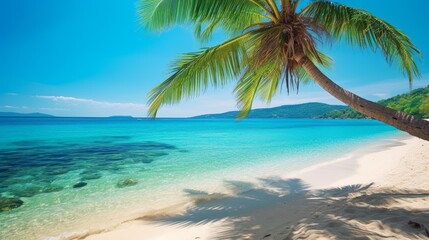 Naklejka na ściany i meble Tropical beach with palm tree