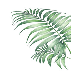 Watercolor tropical frames. Floral illustration