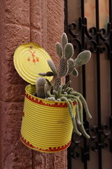 White Opuntia microdasys cactus planted in a yellow can with red details and hanging on the wall of the entrance of a house. Upright image.