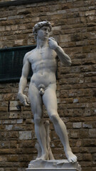 Fototapeta na wymiar Statue of Michelangelo's David in Piazza della Signoria in Florence with Palazzo Vecchio on the background