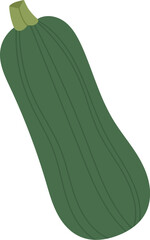 Zucchini Vegetable Icon