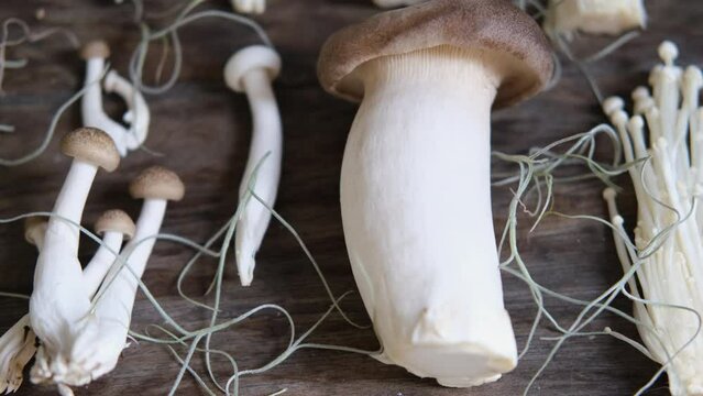 Various edible Asian mushrooms. Set of vegetables. Dark photo natural light.