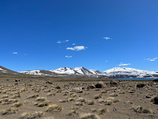 Desert mountains