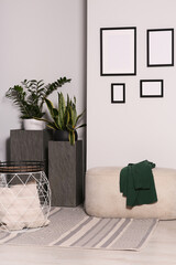Empty frames hanging on white wall in stylish room