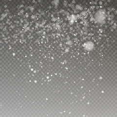 Christmas snow. Falling snowflakes on transparent background. Snowfall. Vector illustration.