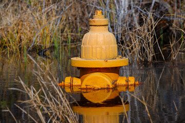 Fire Hydrant orange/yellow