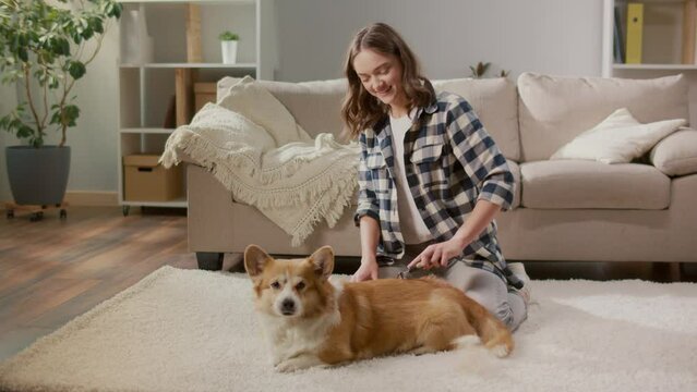 Smiling Young Woman Combing Her Pet With a Special Brush.A Woman Takes Care of Her Dog. Eco-friendly Pet Hair Removal. Minimalist Pet Care and Cleaning.
