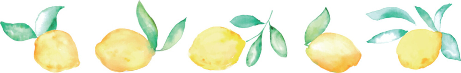 水彩画。夏の水彩タッチレモンベクターイラスト。夏のレモン挿絵。Watercolor. Summer watercolor touch lemon vector illustration. Summer lemon illustration.