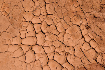 During long periods of drought ground has developed large crack texture that is dry in appearance.