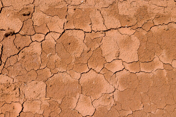 There is large crack in ground texture after long period of drought.
