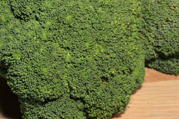 broccoli background