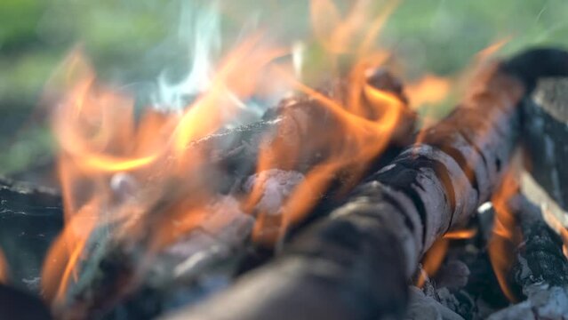 Closeup of flame and bonfire in summer time outdoor. Campfire from branches, lined with stones. Camping. 