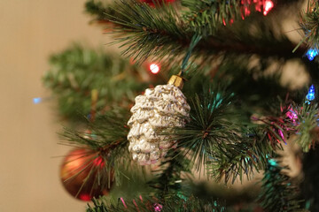 My favourite Golden Pine