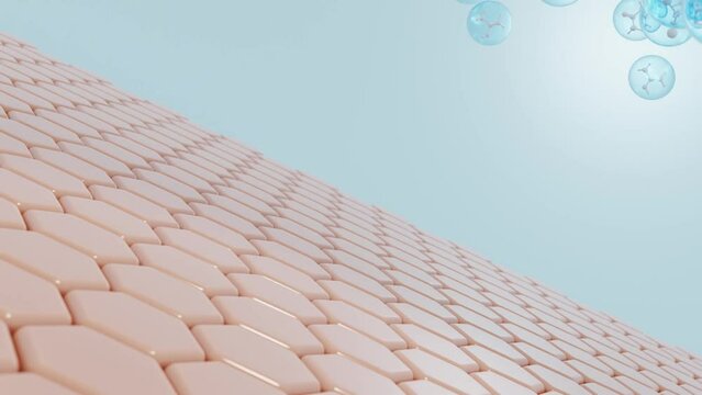 Scene of cosmetic skin care products with essence bubbles falling to the skin layer adipose tissue structure macro design. Skin treatment and cosmetic product concept. 3D rendering