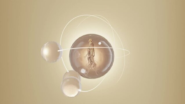 The essence bubbles revolving around the big ball of ginseng extract on the beige background. Fluid liquid blob, metaball morphing animation