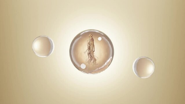 On the beige background, the large ball of essence extracted from ginseng is surrounding by essence bubbles.cosmetic concept background, 3d animation