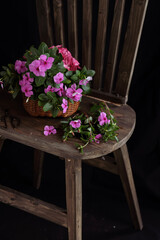 still life flower on the chair