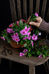 hand in frame arranging flowers
