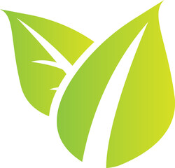 green leaf for spa or eco concept