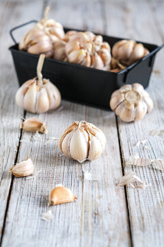 garlic on the wooden table. selective focus
