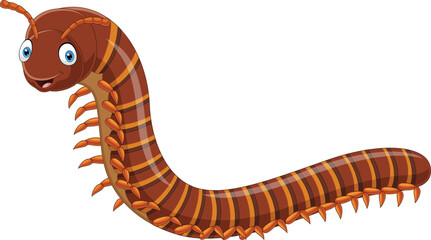 Cartoon centipede isolated on white background