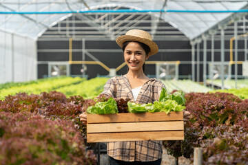 Obraz premium Basket of fresh vegetables, Asian farm woman holding wooden box full of raw vegetables, organic at local farm by harvest Quality selection for health and distribution agribusiness ideas.