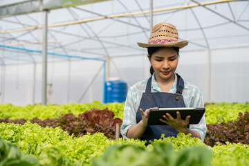 Asian farm women use tablet to record customer contact details and upload pictures of fresh green vegetables, healthy salads for sale online. in hydroponic farms, organic vegetables.