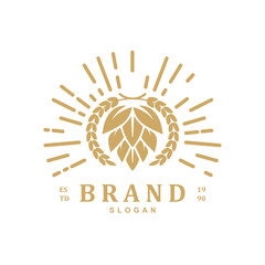 Vintage beer hop with wheat logo design vector