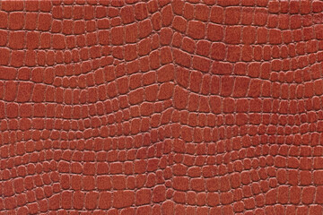 terracotta reptile skin. crocodile leather texture background