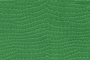 Green reptile skin. crocodile leather texture background