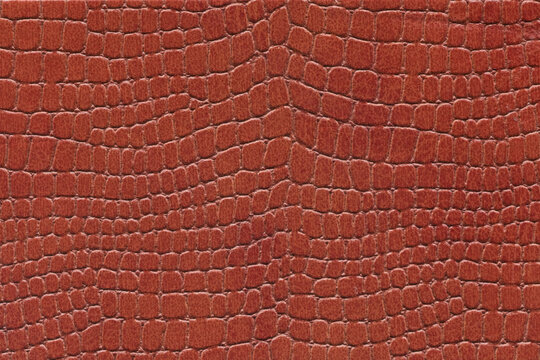 terracotta reptile skin. crocodile leather texture background