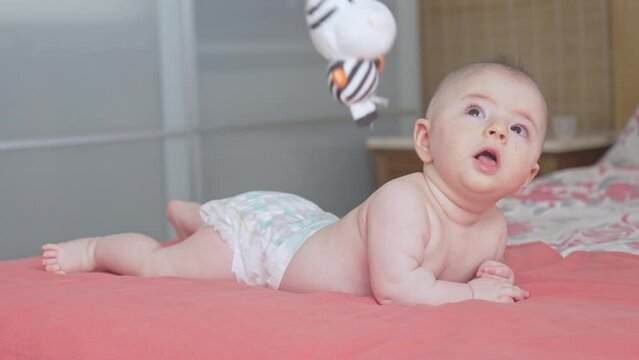 Baby in awe from a zebra toy dangling before his big cute eyes, playtime experience for a newborn in bedroom