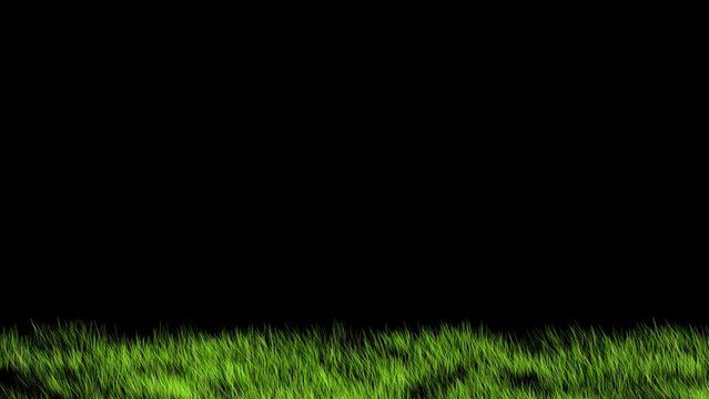 【トランジション】原っぱ　下位置_GR