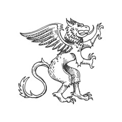Griffin or gryphon medieval heraldic animal sketch. Legend griffin, fantasy creature or mythology beast royal etching vector emblem. Magic animal coat of arms, engraved medieval heraldic insignia