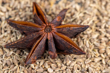 Whole fragrant star-shaped Anise Spices