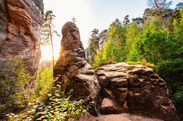 Cesky raj sandstone cliffs - Prachovske skaly in summer sunset, Czech Republic. Rock labyrinth is tourist attraction in Bohemian Paradise, Czech Republic - obrazy, fototapety, plakaty