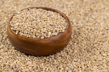 Cheap tasteless barley porridge close-up