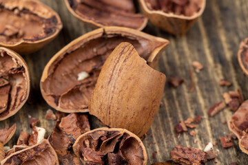 fresh crop of pecans on the surface