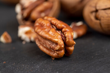 fresh crop of pecans on the surface