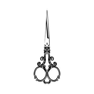 vector illustration of vintage scissors concept