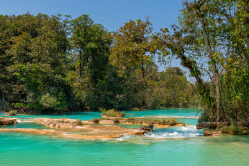 Agua Azul cascades waterfalls midst tropical rainforest, Chiapas, Mexico.