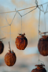 dried dates hung on a string