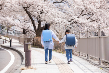 桜の下を歩く新一年生