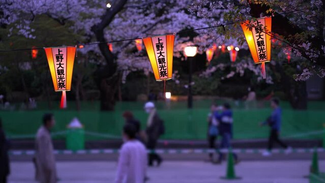 桜まつりの提灯が灯る上野恩賜公園・さくら通りを歩く人々（2023年3月）