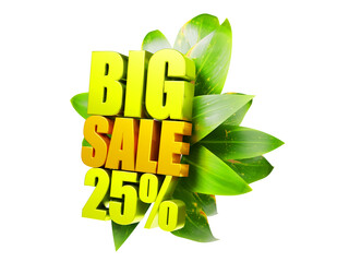 3D rendering of a template, 25 percent sign, plant, inscription super sale, in green, orange, transparent background, left view